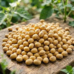 山西大豆种植技术全攻略，2026年最新要点