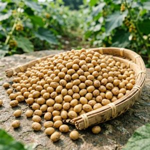内蒙古大豆常见病害识别与防治方法