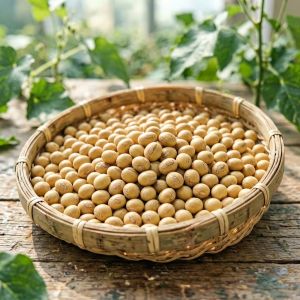 北京大豆价格走势分析&mdash;&mdash;2026年6月最新行情
