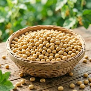 山西大豆田间管理关键技术，2026年最新经验